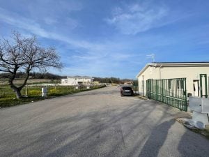 Famiglia nel bosco, Sindaco Palmoli: “Consegnata la casa nuova, ma continuano a vivere con gli animali”