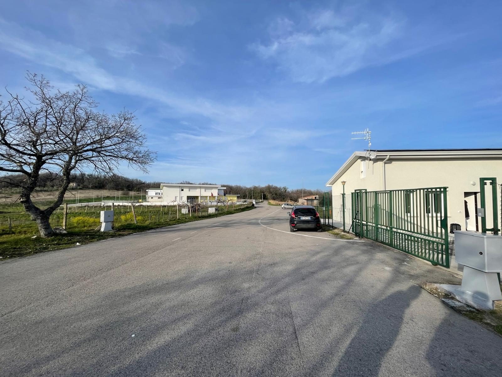 Famiglia nel bosco, Sindaco Palmoli: "Consegnata la casa nuova, ma continuano a vivere con gli animali"