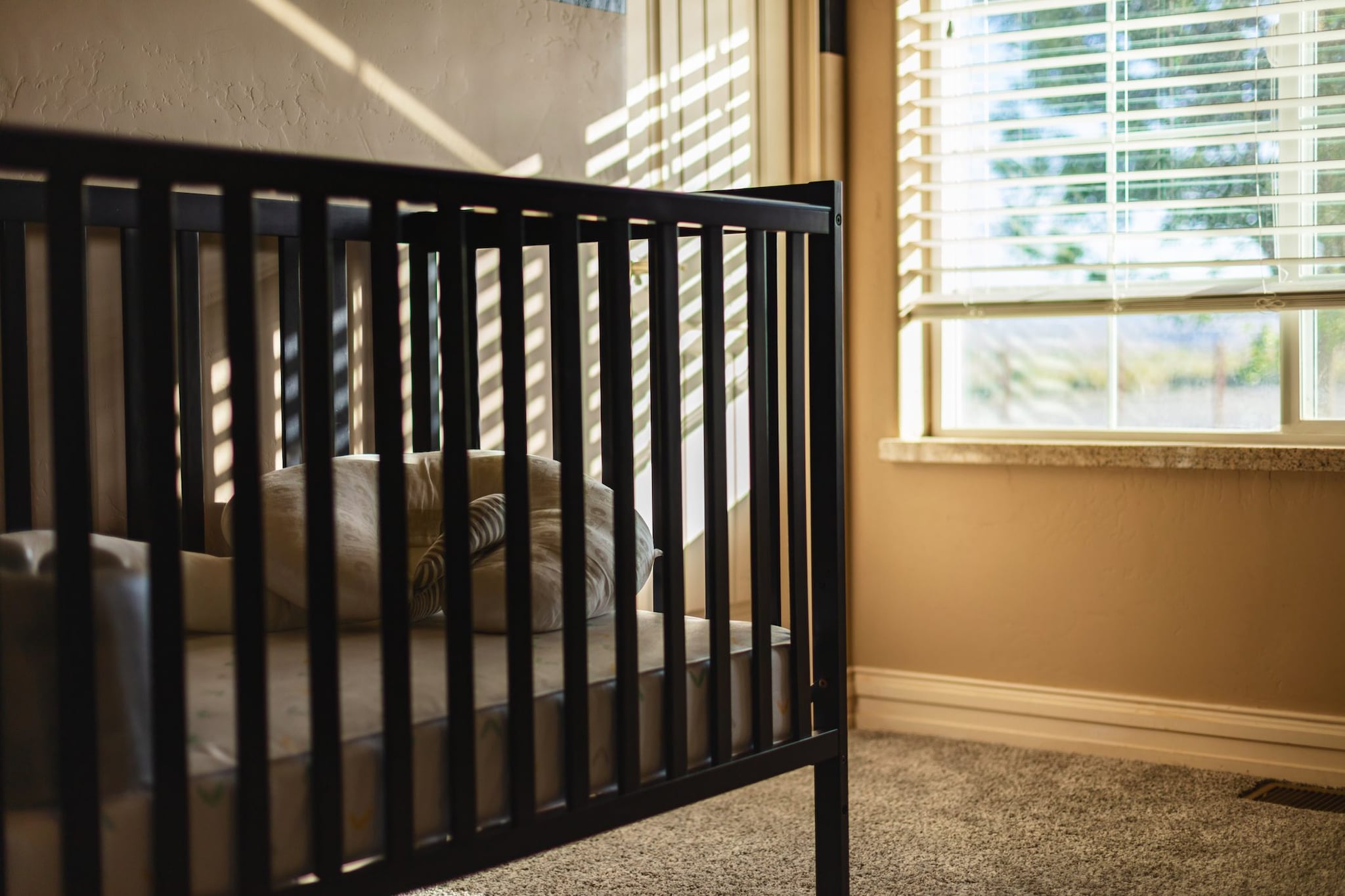 Seppellì i figli neonati nel giardino di casa a Parma: arriva la sentenza, Chiara condannata a 24 anni di carcere