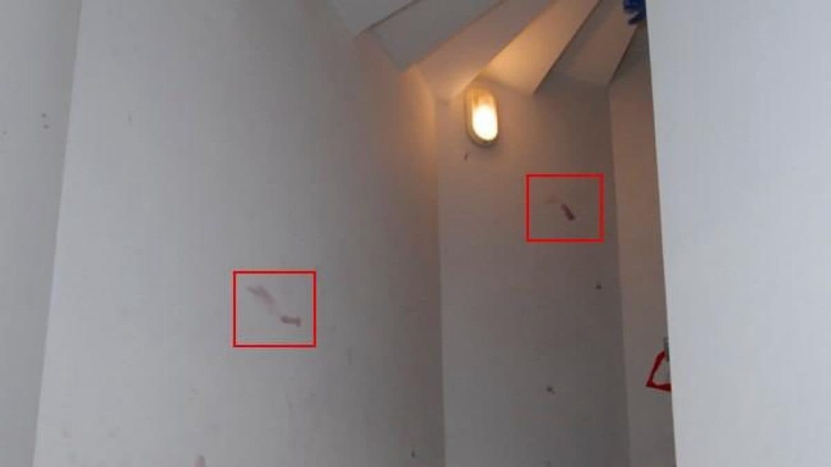 Garlasco, oltre alla traccia 33 c’è un’altra impronta sulle scale di cui non si è mai parlato e non porta all’assassino