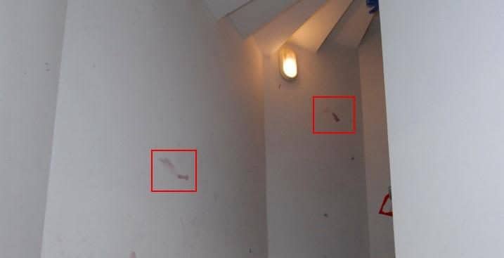 Garlasco, oltre alla traccia 33 c’è un’altra impronta sulle scale di cui non si è mai parlato e non porta all'assassino