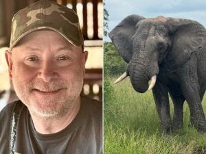 Ucciso da uno degli elefanti che amava in Sudafrica: Gary Freeman muore travolto nella riserva Klaserie