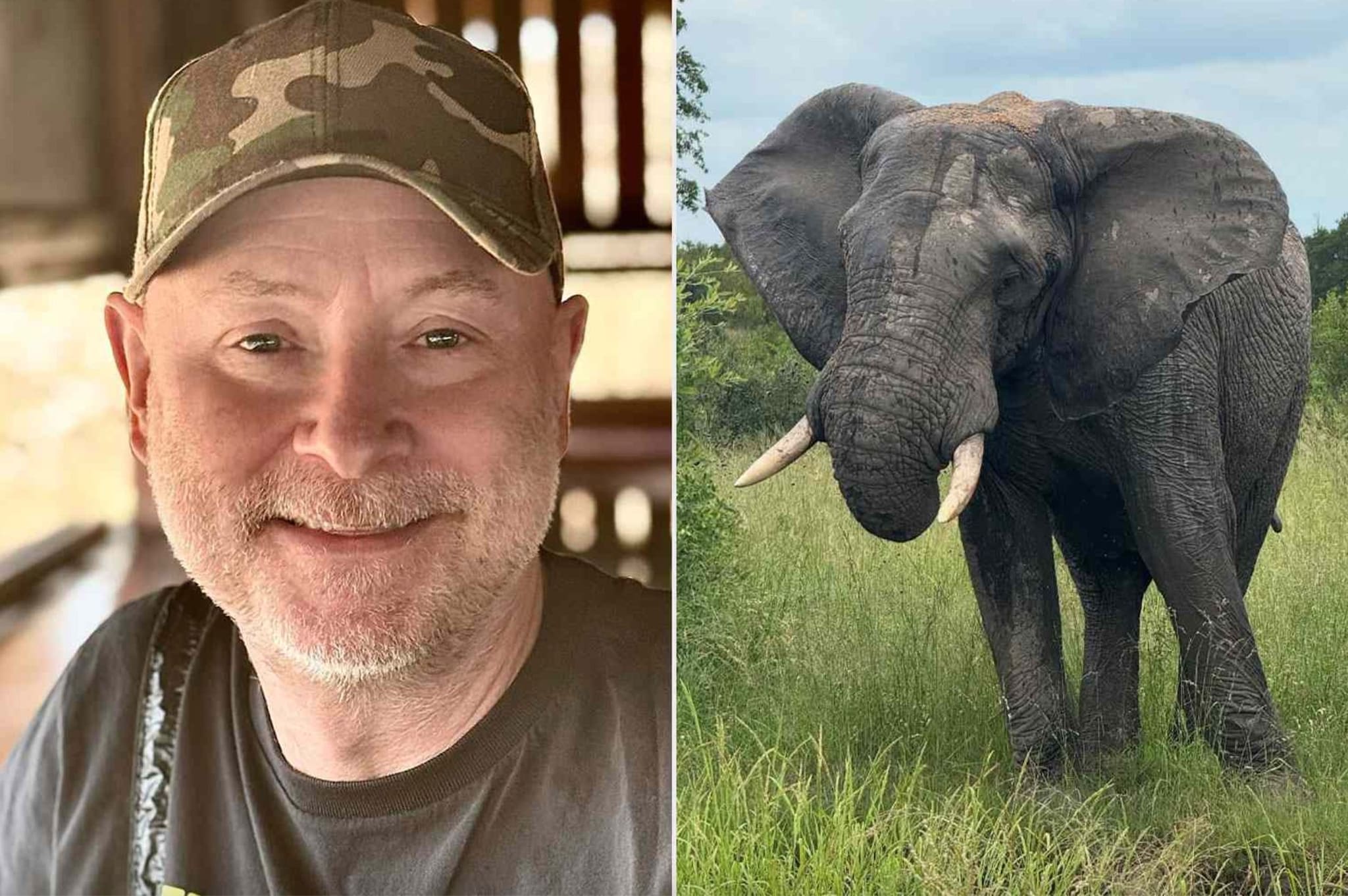 Ucciso da uno degli elefanti che amava in Sudafrica: Gary Freeman muore travolto nella riserva Klaserie
