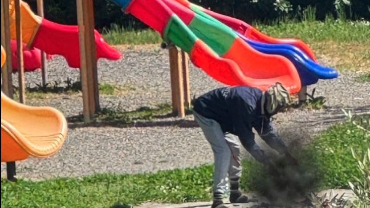 La foto postata su Facebook dall’assessore Torri