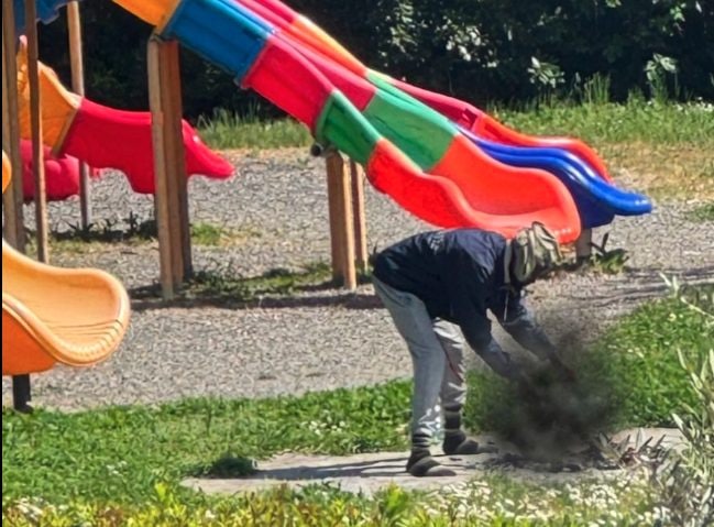 Uccide il gatto nel parco e cerca di cucinarlo per mangiarlo: arrivano i carabinieri a Sarzana