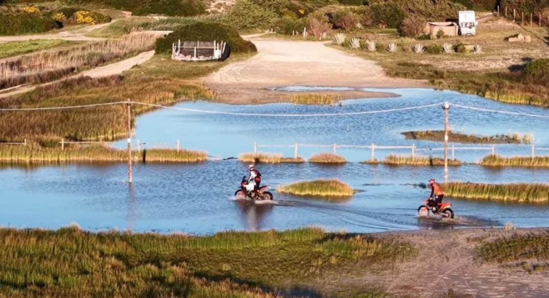 Porto Cesareo, la riserva naturale diventa una pista. Legambiente denuncia: “Distrutte specie in via di estinzione”