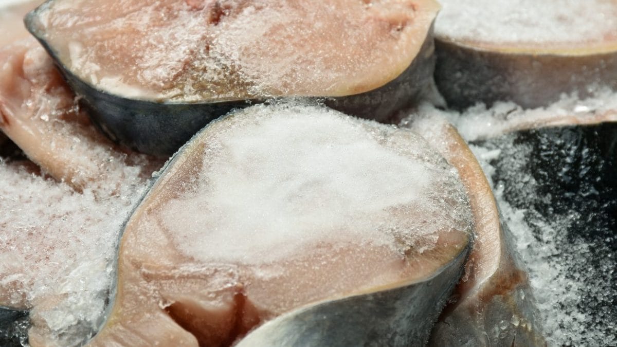 immagine di repertorio