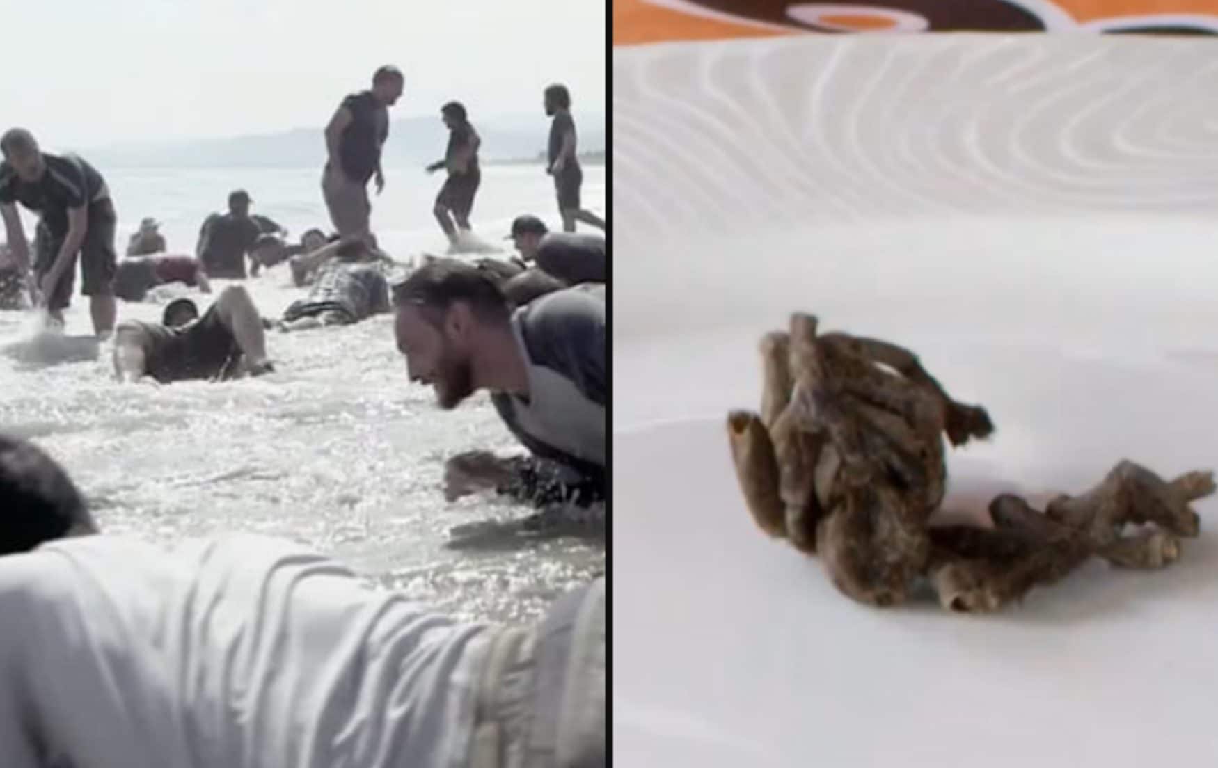 Tarantole nel menu, istrici nel bagno, alligatori e blackout continui: ritiro aziendale finisce malissimo