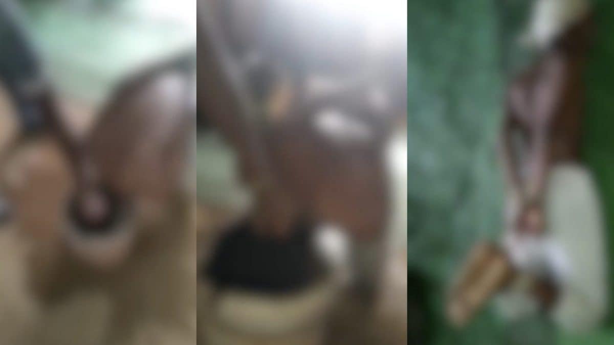 Frame dai video delle torture inviati alla madre