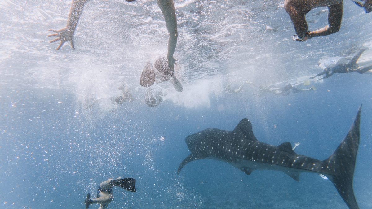 immagine di repertorio