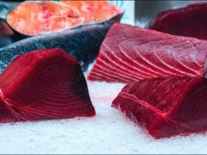 Mettono in freezer il pesce già scongelato: coppia di Piacenza finisce in ospedale per sindrome sgombroide