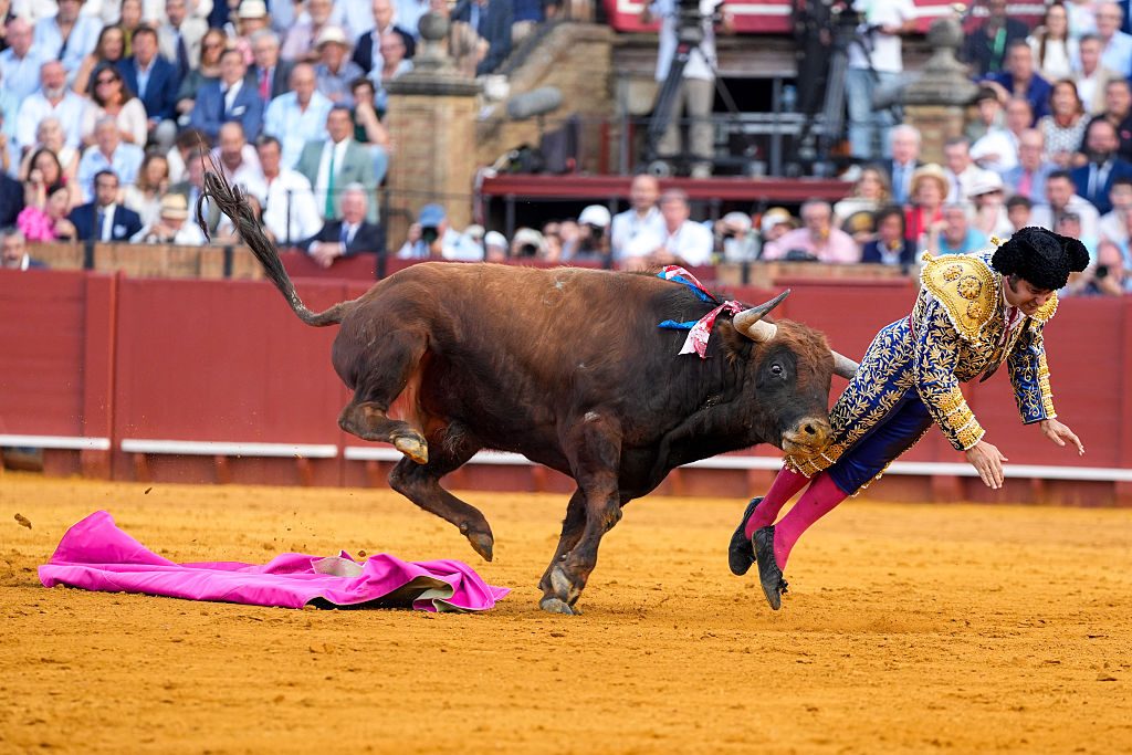 Il torero Morante de la Puebla ferito durante una corrida: il toro gli perfora il retto con un'incornata