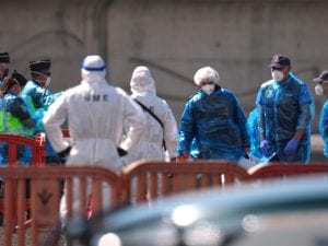 D’Amato: “L’hantavirus? Come uno stress test sulle pandemie e l’Italia non ne esce bene”