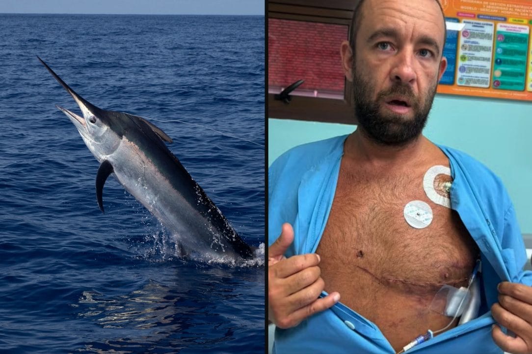 Surfista 42enne trafitto al cuore da un pesce spada in Costa Rica, gli amici: "Salvo per miracolo"