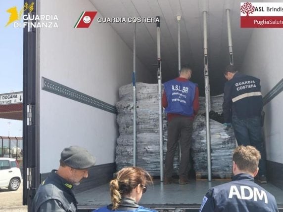 Cozze greche bloccate a Brindisi, sequestrate 20 tonnellate per presenza di fitoplancton: "Sono pericolose"