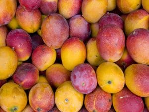 Mango F.lli Orsero ritirati dal commercio per pesticidi oltre i limiti: l’avviso del Ministero della salute