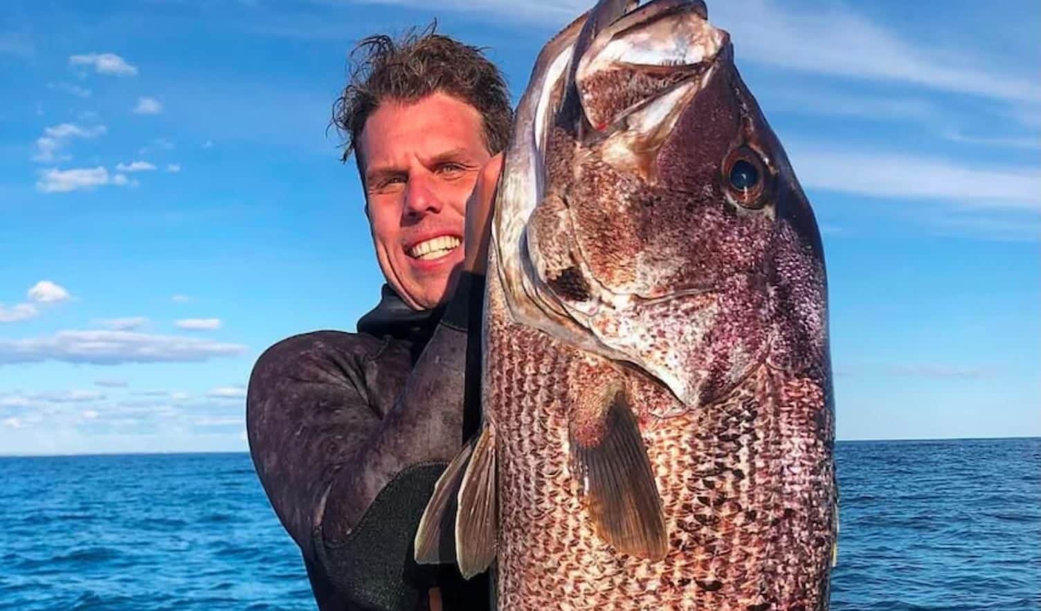 Attaccato da squalo bianco durante la pesca subacquea, Steven Mattaboni ucciso davanti agli amici in Australia