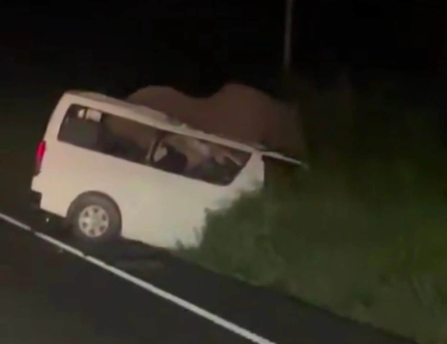 Uganda, minibus investe un elefante che attraversa la strada nel Parco nazionale: 3 morti e 4 feriti