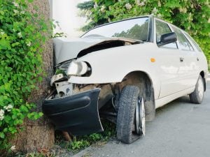 L’auto si schianta contro un albero: morte due studentesse di 23 e 26 anni a Forlì, grave un’amica