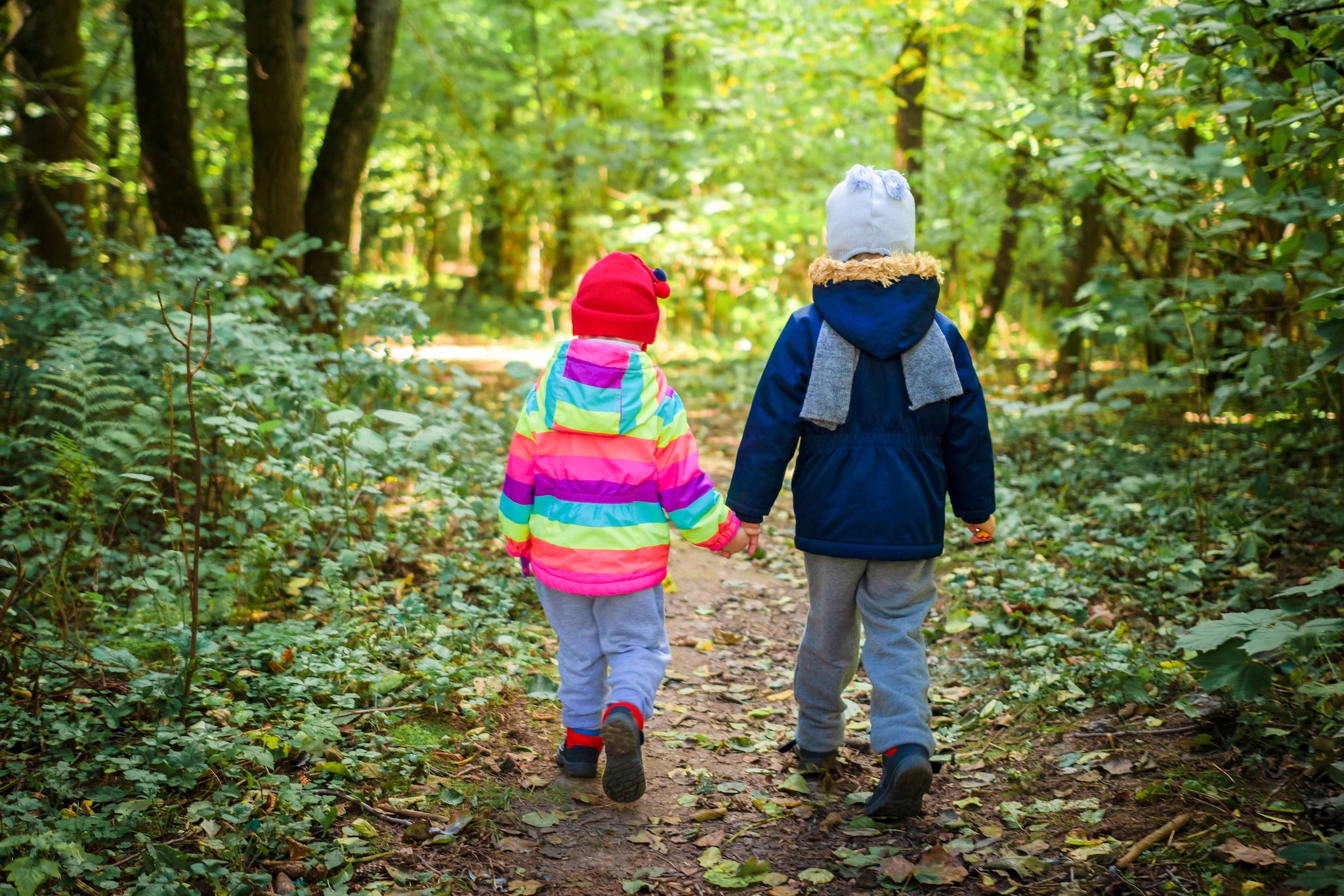 Due bimbi francesi di 3 e 5 anni abbandonati dalla madre nel bosco in Portogallo: "Ci ha bendati per un gioco ed è andata via"