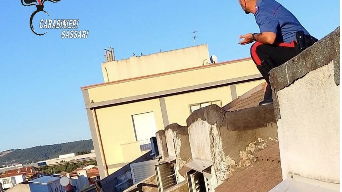 L’operazione dei carabinieri a Olbia