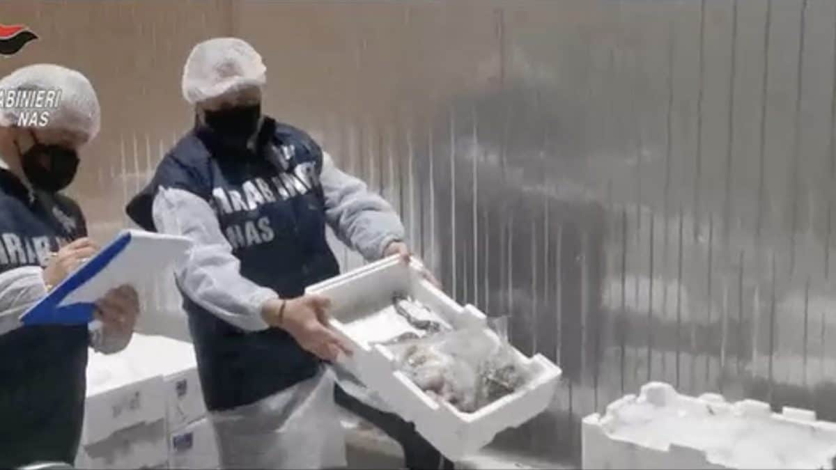 I Nas al lavoro durante i controlli.