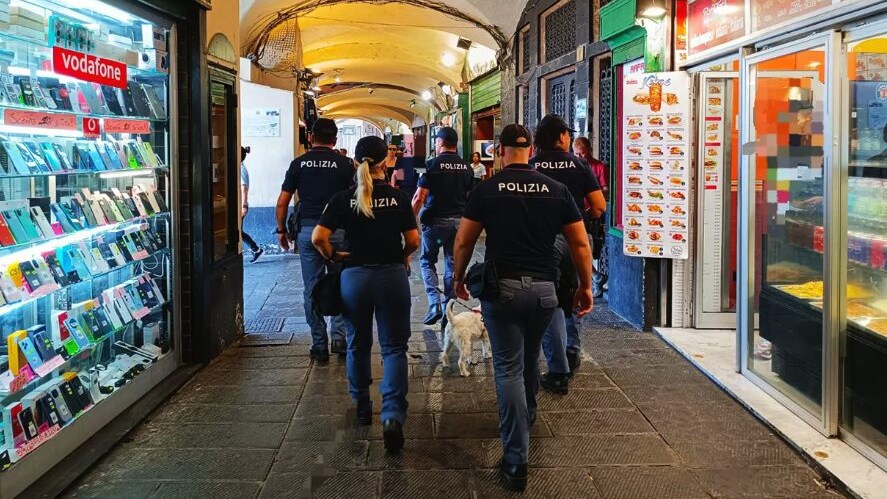Immagine