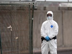 Se l’Hantavirus è la prossima pandemia globale, siamo davvero fregati