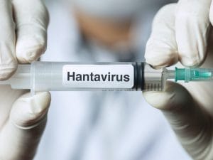 Hantavirus, l’Oms conferma 11 casi, tutti passeggeri della MV Hondius, in Italia negativi i 6 contatti sospetti: news in diretta