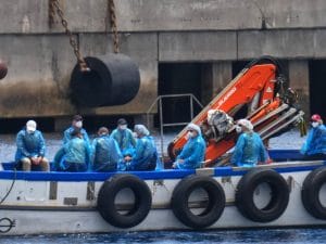 Hantavirus, perché i virologi dicono che non ha nulla a che vedere con la pandemia di Covid