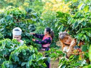 Un viaggio dentro al cibo: a Milano un percorso esperienziale da non perdere