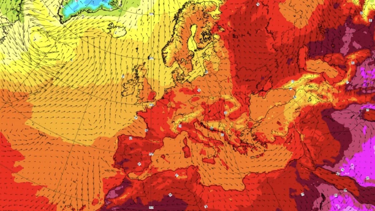 Foto ECMWF (anomalia di temperatura di venerdì 22 maggio 2026)