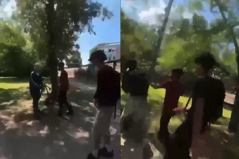 Parma, due prof aggrediti da una baby gang, il sindacato: "Quei ragazzi vadano a lavorare nei campi"