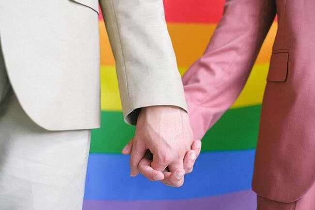 Dieci anni di unioni civili, il giurista: “Legge Cirinnà ha cambiato l'Italia, matrimoni e figli il prossimo passo"
