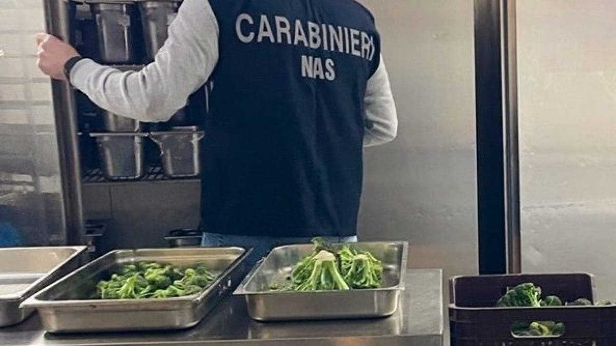 I Nas di Catanzaro durante l’ispezione