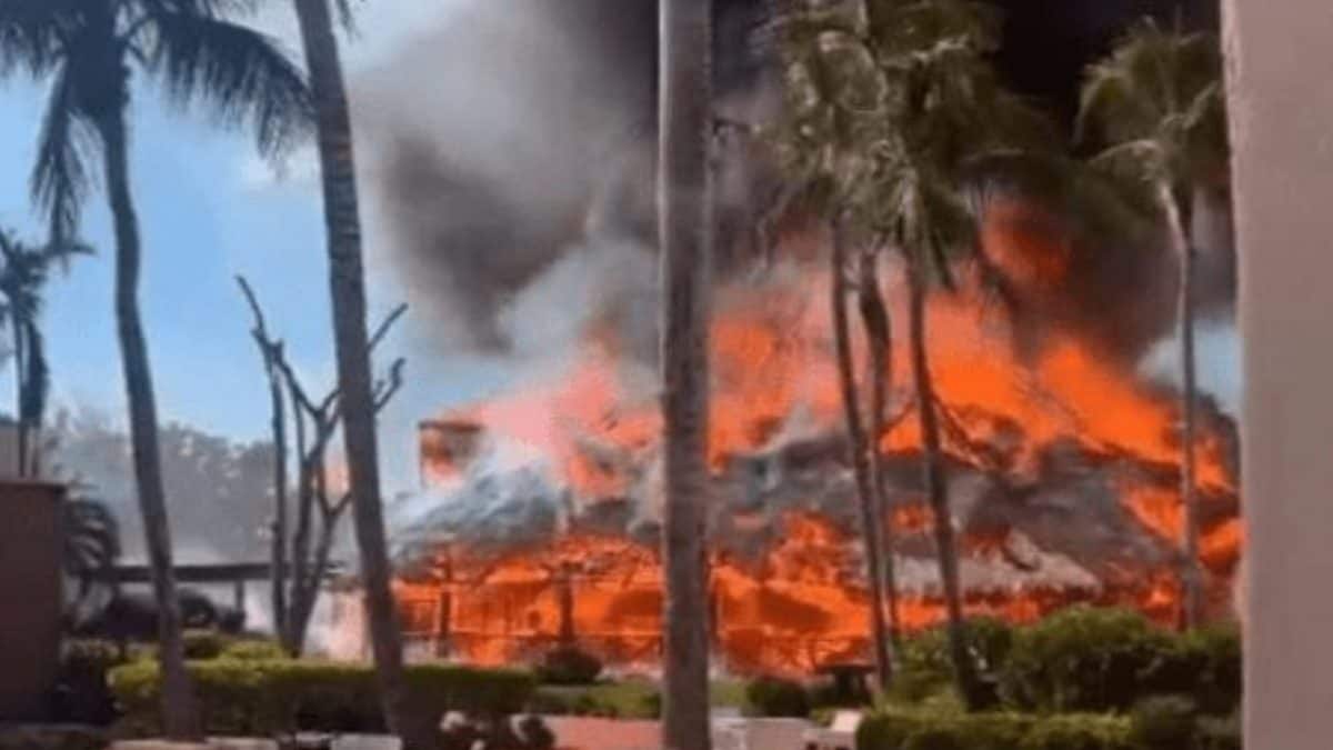 Le immagini dell’incendio