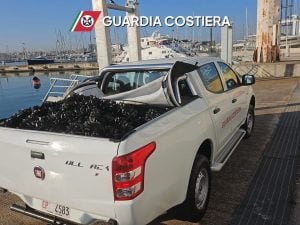Quasi una tonnellata di cozze sequestrate tra Bari
