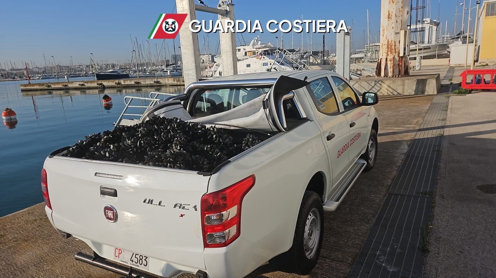 Quasi una tonnellata di cozze sequestrate tra Bari e Bitonto: erano prive di tracciabilità. Saranno distrutte