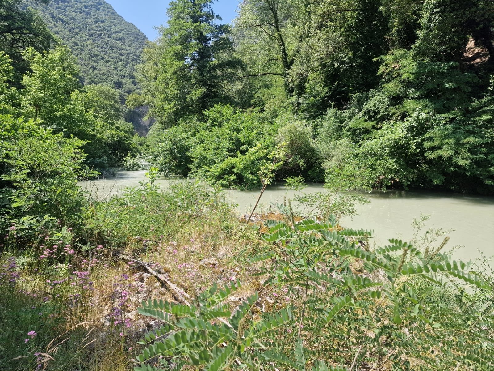 Il bacino del Furlo / foto Federica Pambianchi