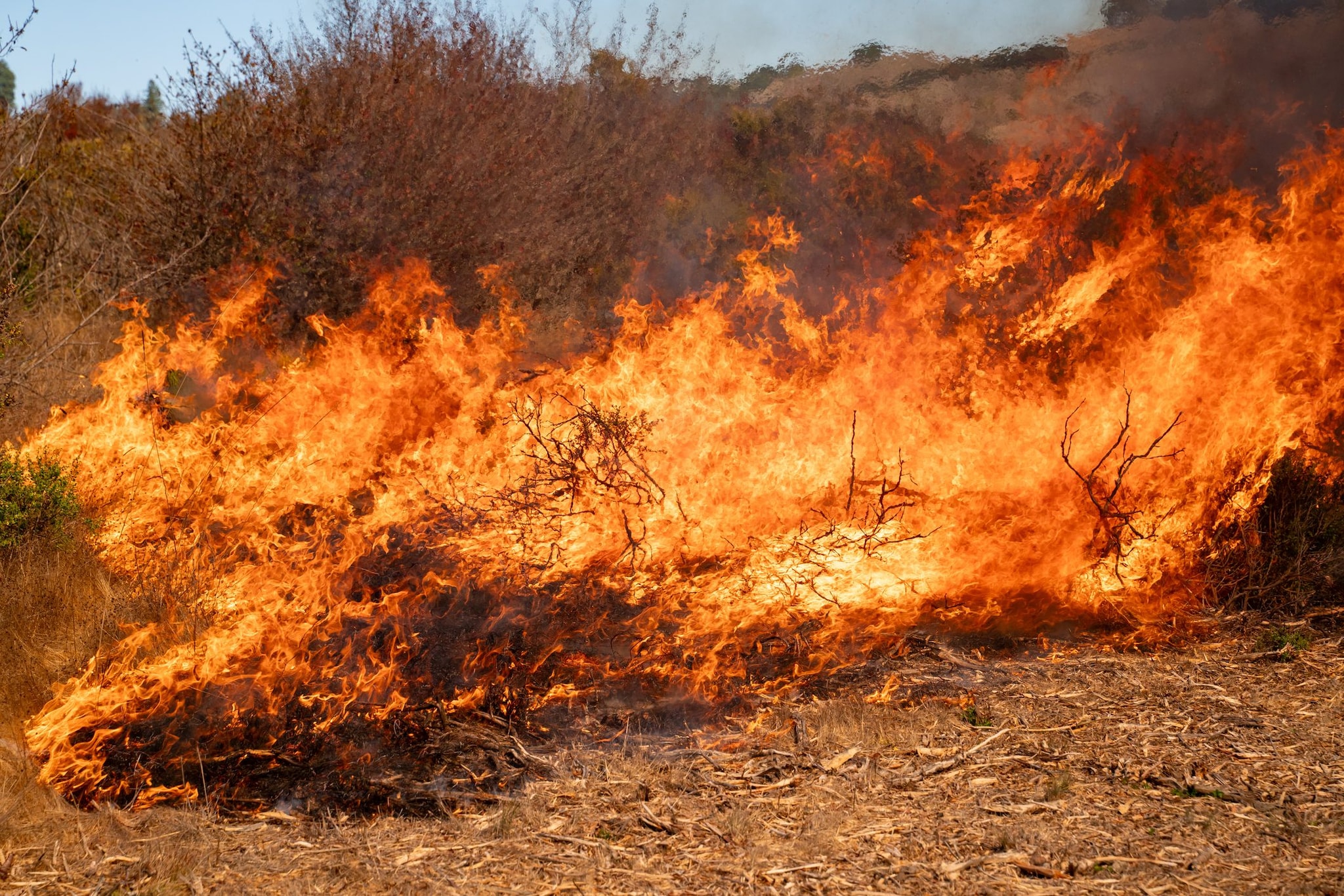 Lecce, uomo ha un malore e muore carbonizzato mentre dà fuoco alle sterpaglie