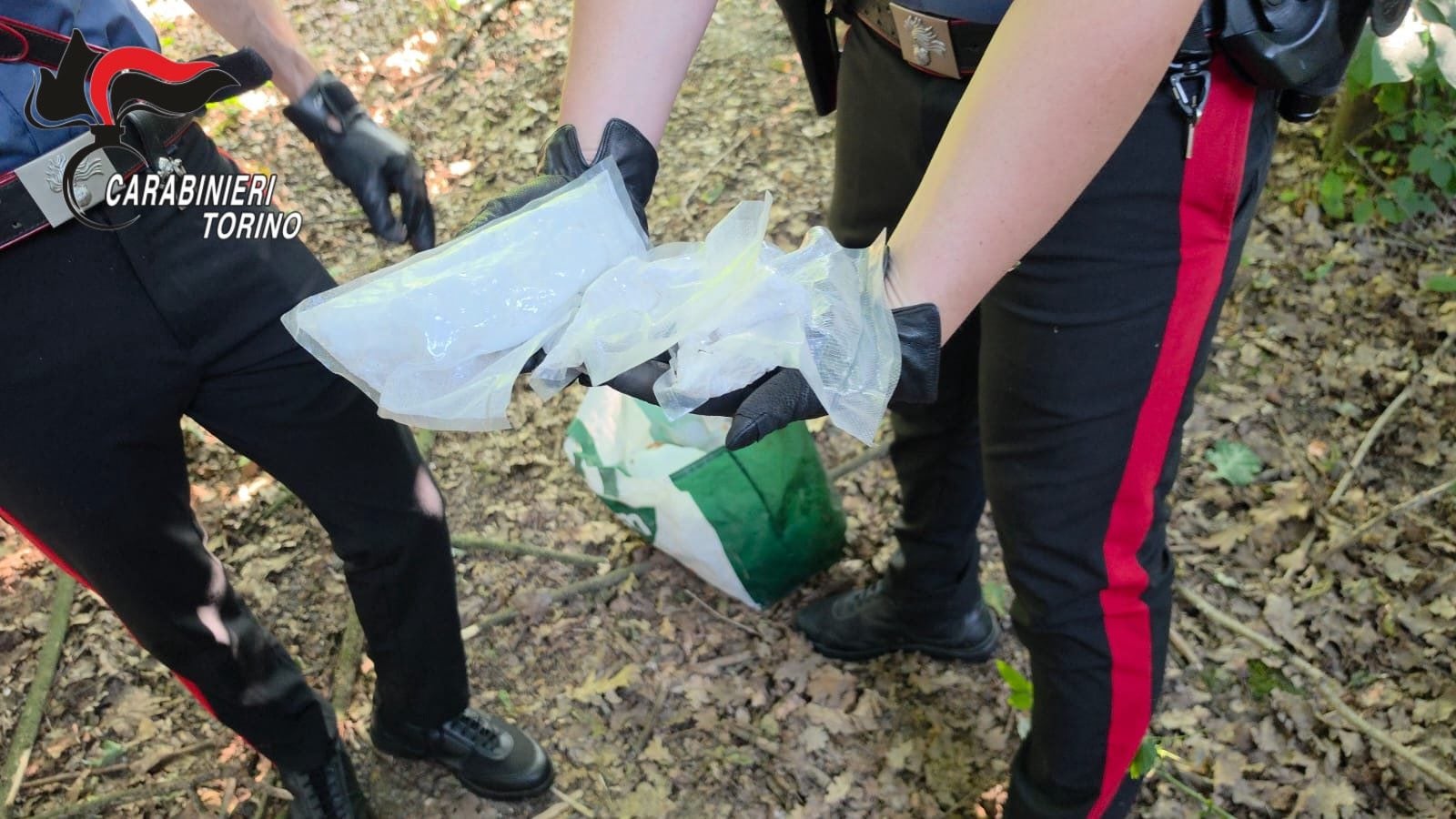 Torino, arsenale di armi e droga sotterrato a Bosconero: cocaina e hashish per 3,5 milioni di euro