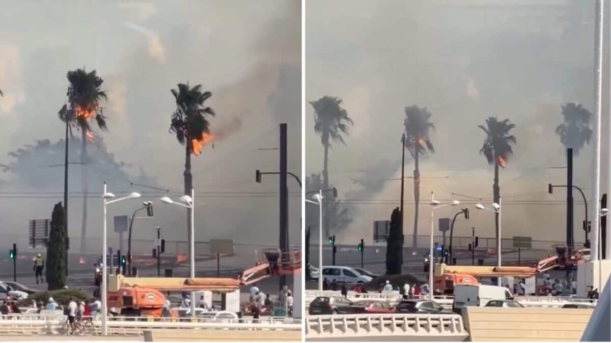 Il fuoco lambisce il ponte simbolo di Valencia