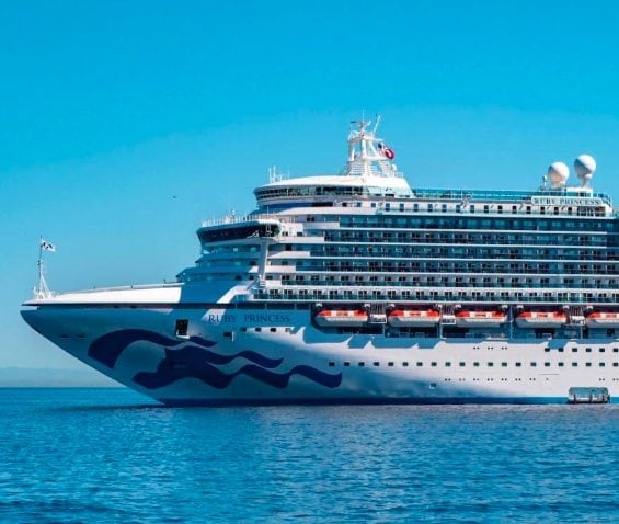 Virus colpisce 122 passeggeri su una nave da crociera in California: scatta l'isolamento per il focolaio