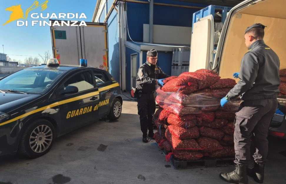 Vongole di origine portoghese contaminate rivendute come italiane: sequestrate oltre 15 tonnellate, un arresto