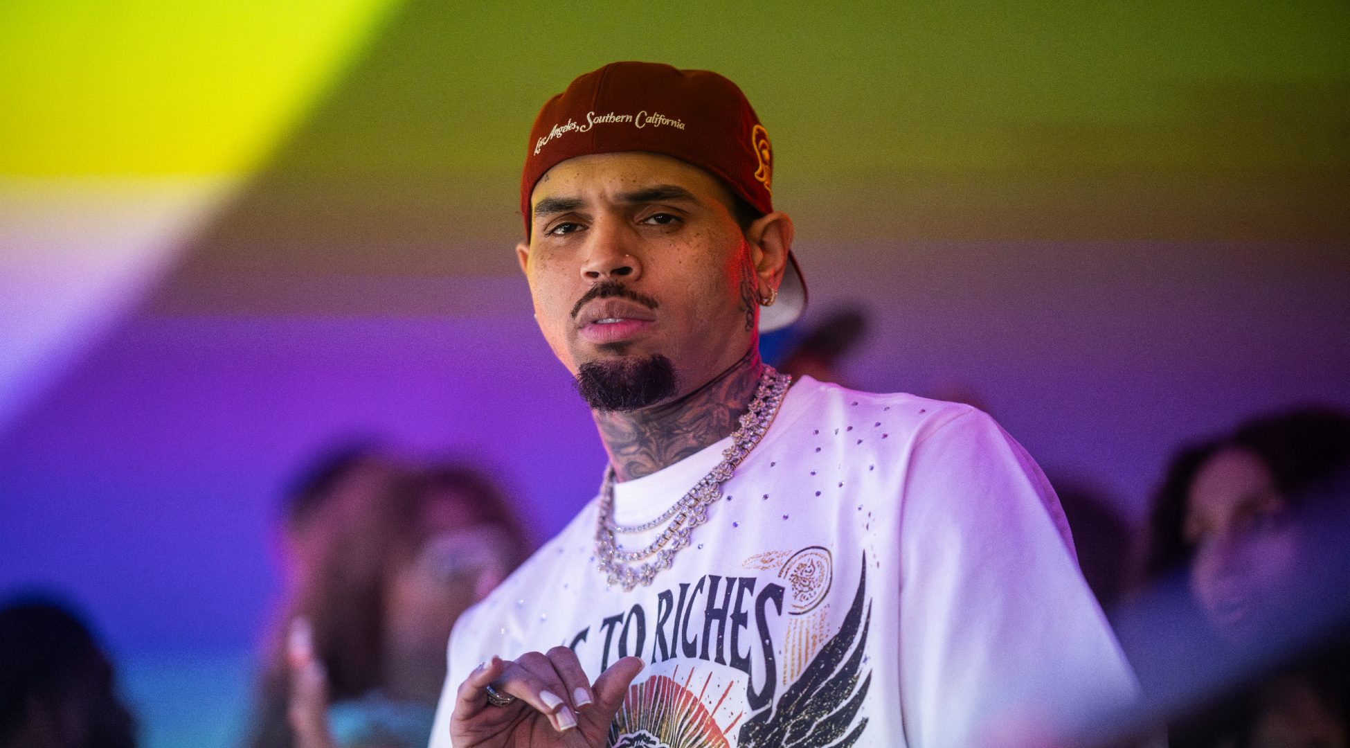 Chris Brown condannato a risarcire l’ex governante con 13 milioni: il suo cane la azzannò al volto e al braccio