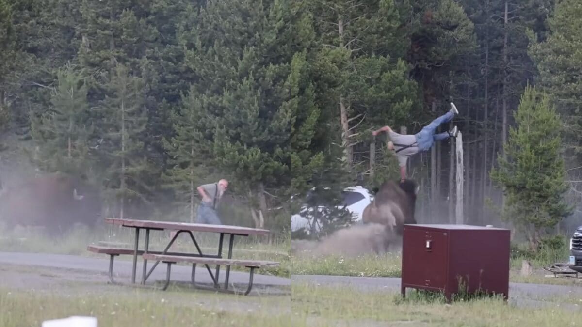Screen da video di Mike MacLeod.