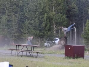 Incidente con bisonte al parco di Yellowstone