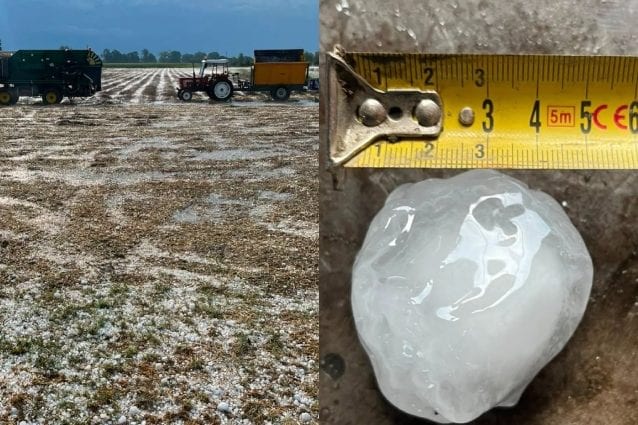 Nubifragio e violenta grandinata in Emilia Romagna: "Chicchi grandi come albicocche, sembrava un bombardamento"