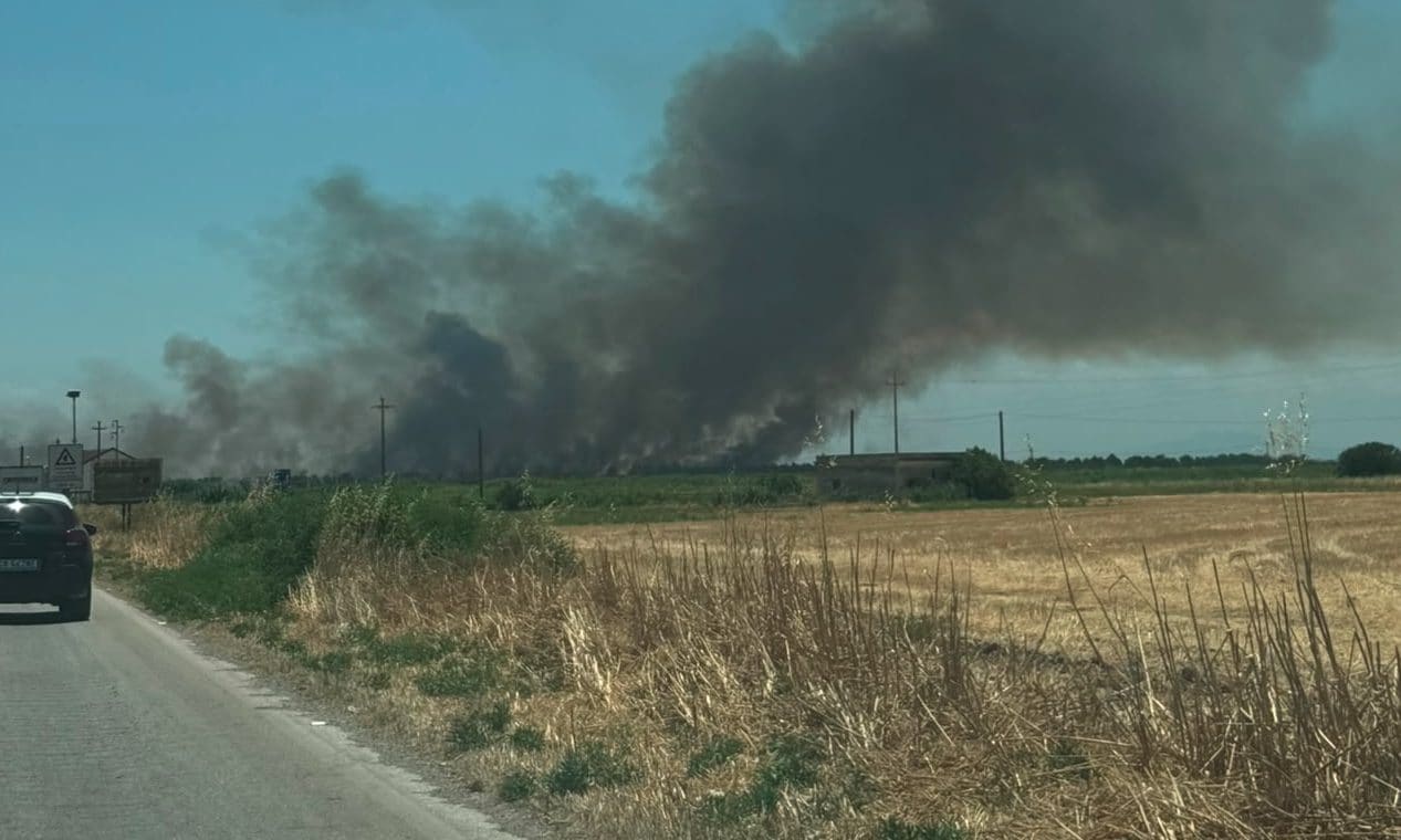 Enorme incendio oggi a Foggia, fiamme all’Oasi Lago Salso: il video della colonna di fumo visibile da chilometri