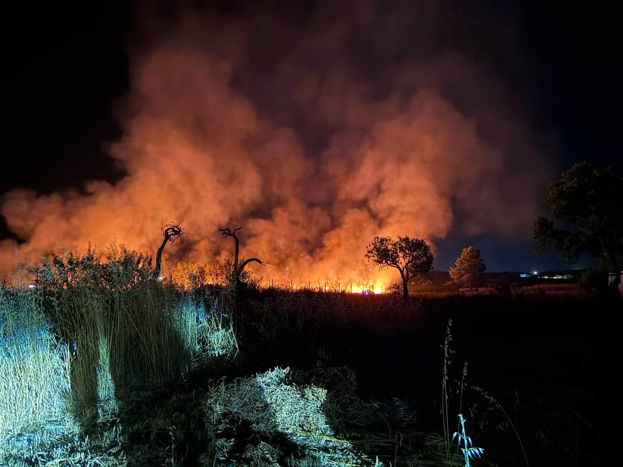 Cagliari, 4 ore per domare l'incendio nella campagna di Maracalagonis. La sindaca: "È doloso"